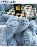 Petite couverture pour l'hiver - #FR-001-AA-1